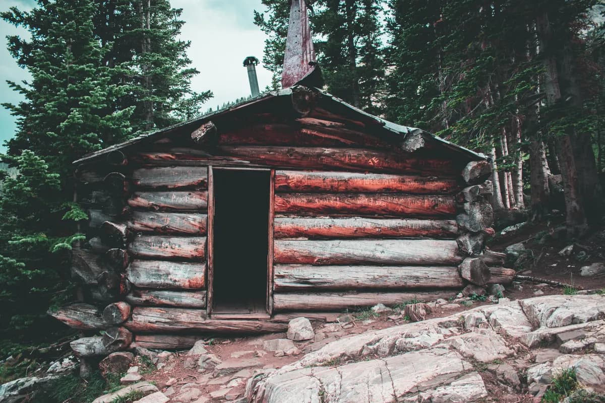 Imagen de ejemplo de BookNoFees: pequeña cabaña de troncos redondos entre los árboles del bosque