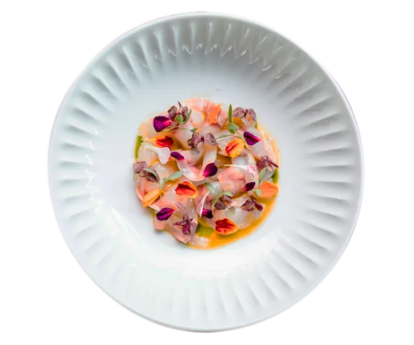 BookNoFees: Restaurante – Nojo – Rome – Nojo, foto 3