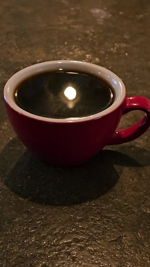 BookNoFees: Cafetería – Eckers Cafe – Oslo – Eckers Café, foto 3