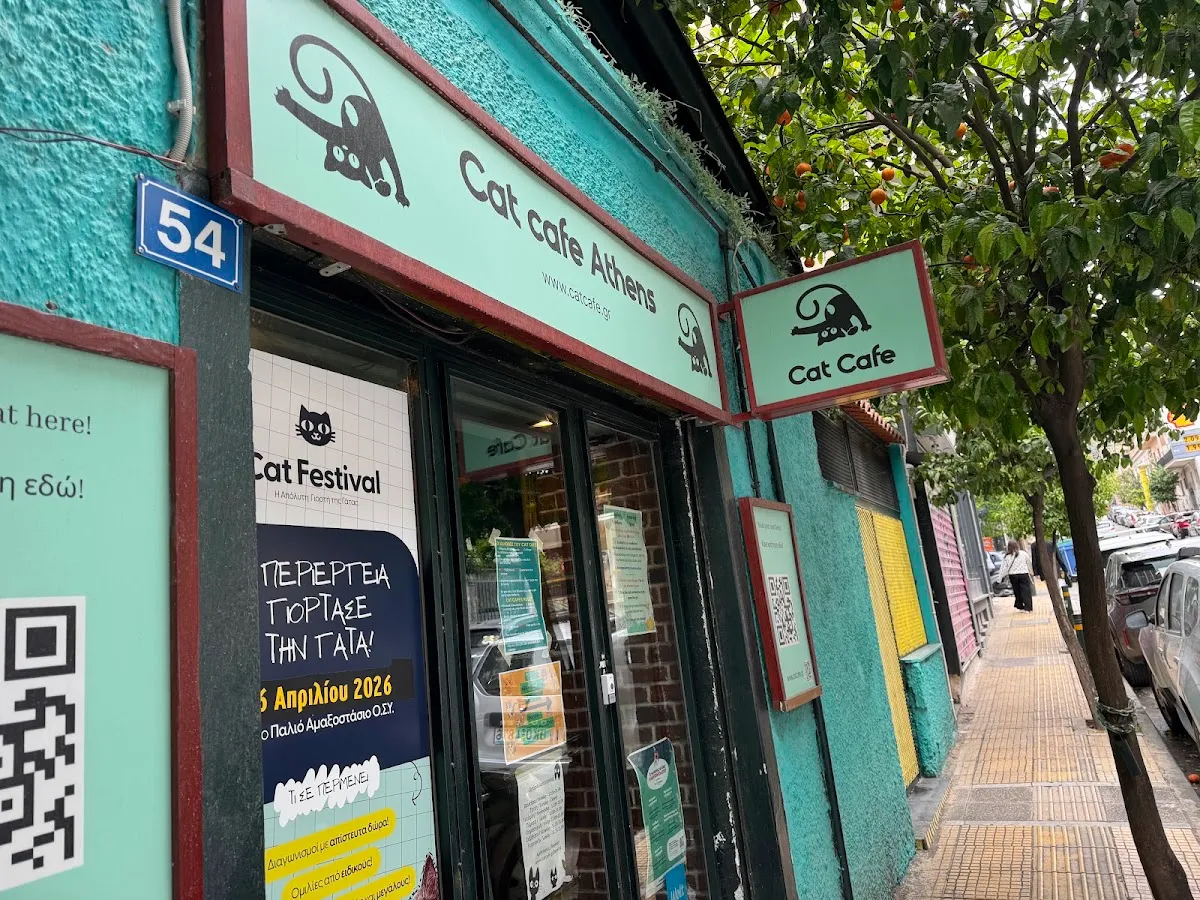 BookNoFees: Cafetería – Cat Cafe Athens – Athens – Café de gatos de Atenas, foto 1