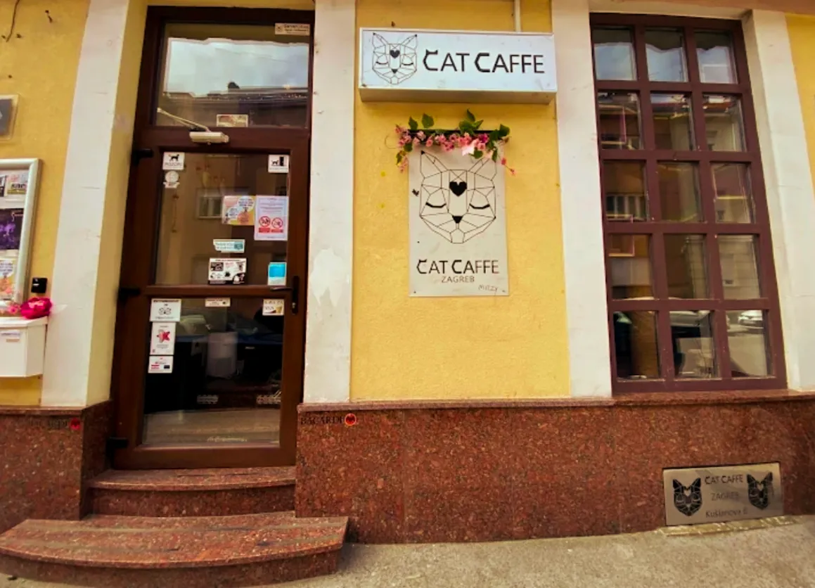 BookNoFees: Cafetería – Cat Caffe – Zagreb – Cat Caffe, foto 1