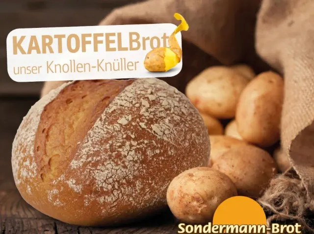 BookNoFees: Panadería – Sondermann-Brot – Olpe – Pan de Sondermann, foto 3