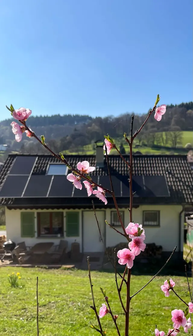 BookNoFees: alquiler vacacional en Allemühl – Casa de vacaciones Allemühl: ¡una casa solo para vosotros!