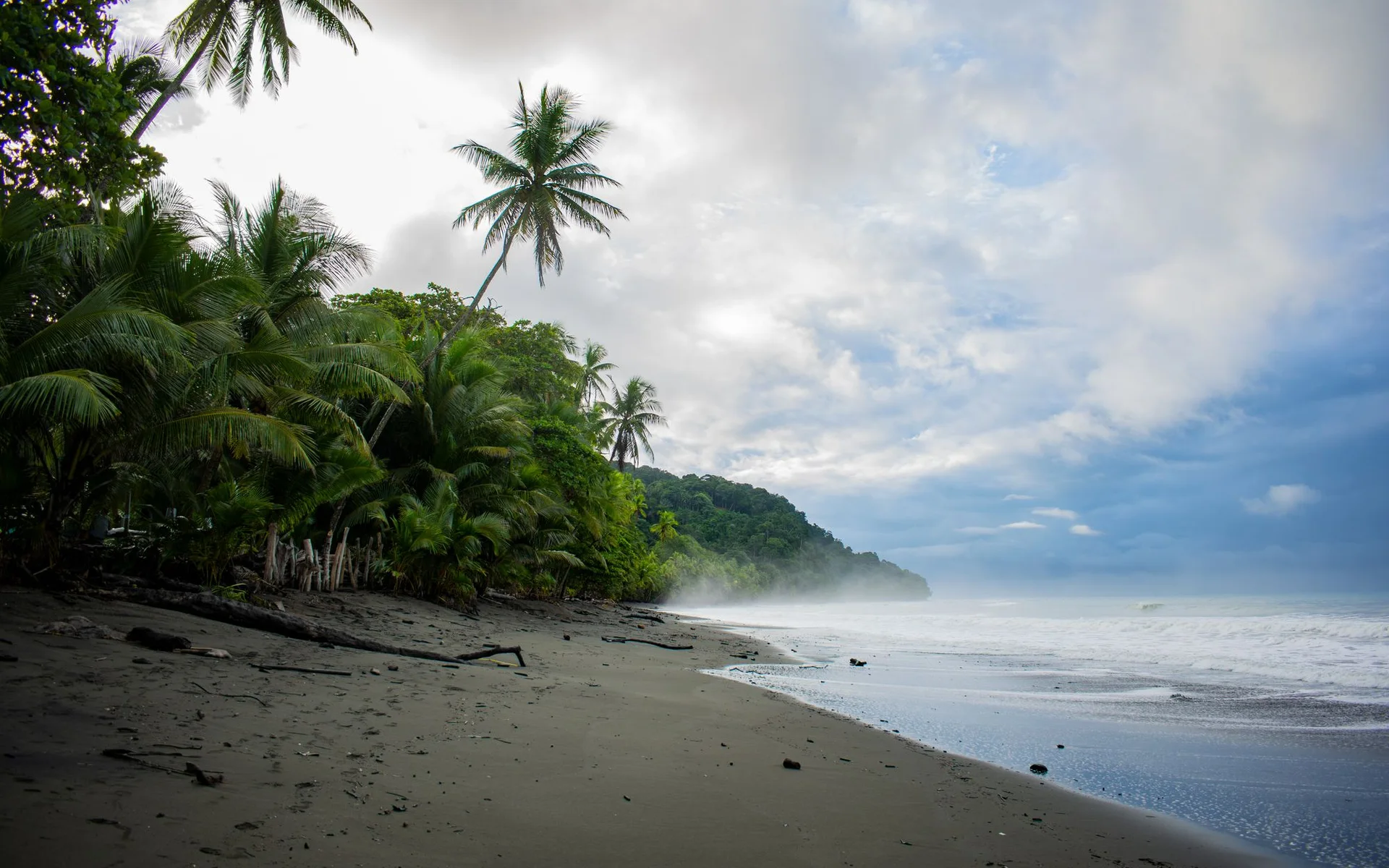 Palmeras en la playa de Pavones, en Costa Rica